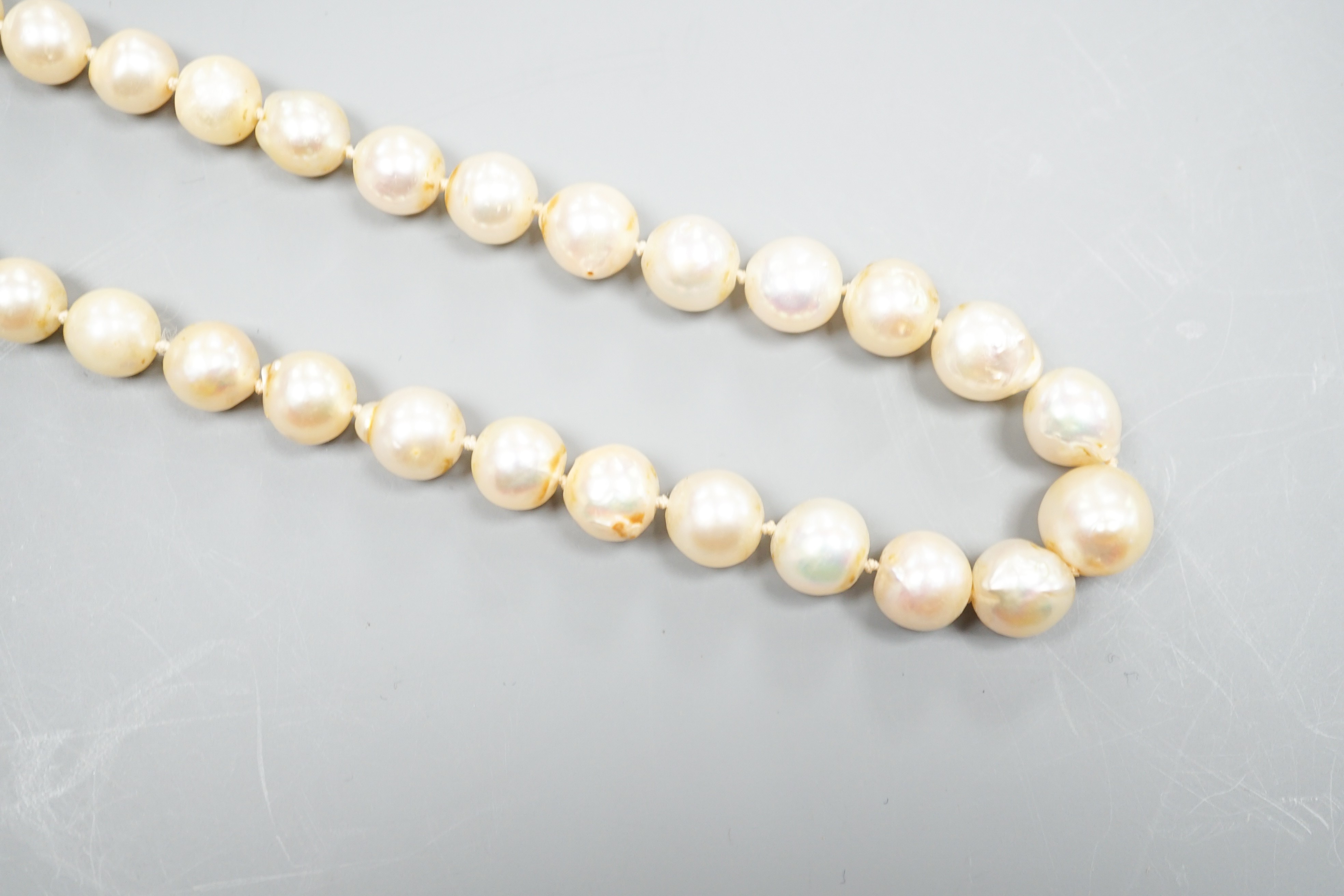 A single strand graduated pearl necklace (not tested for natural), with yellow metal and three stone diamond set clasp, 44cm.